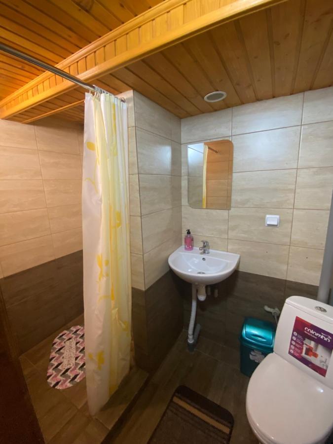 Pid Playem Villa Volovets Dış mekan fotoğraf